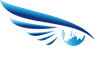 Aviation Horizons